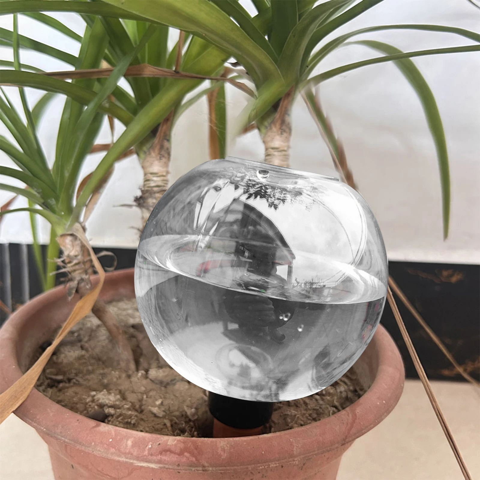 1/4 peças Globos de Autoirriga - Plant Watering Globe avaliação e preço