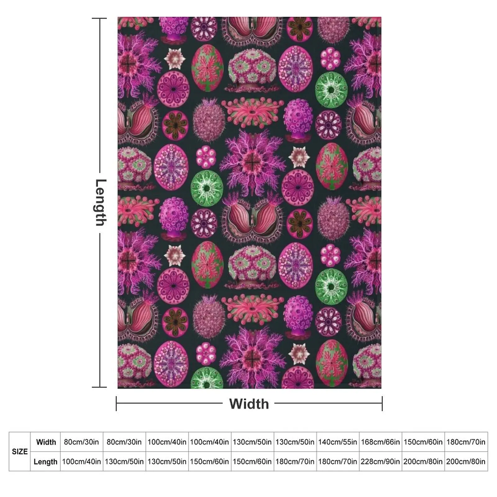 Ernst Haeckel Ascidiae Sea Squirts Magenta Throw Blanket Blankets For Baby warm winter christmas gifts Hairys Blankets