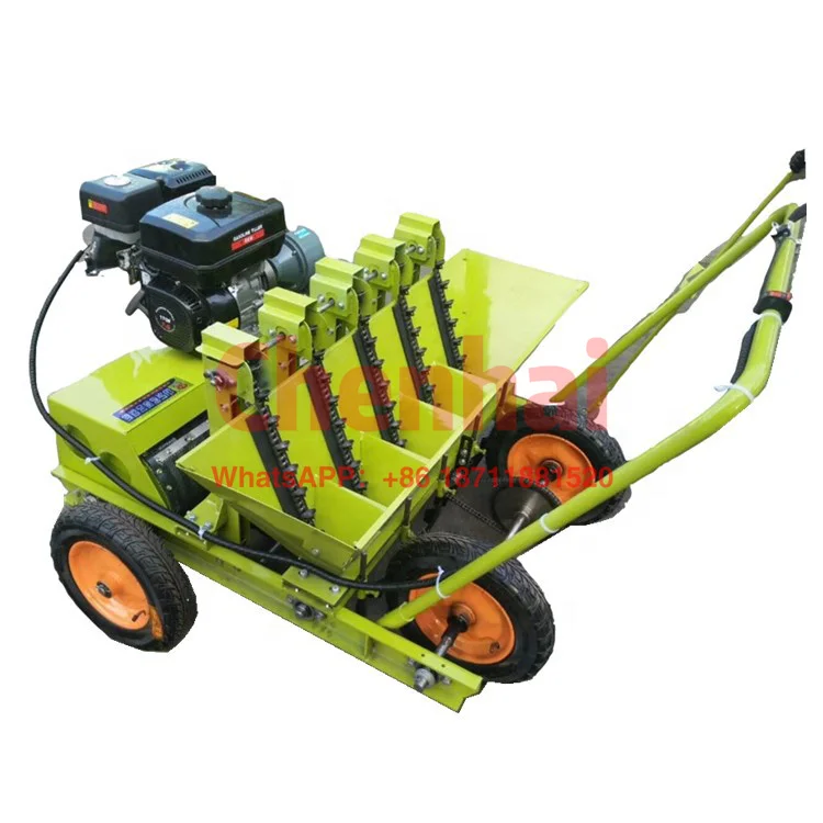 

ZZGD Garlic Seed planter/garlic planting machine/garlic seeder