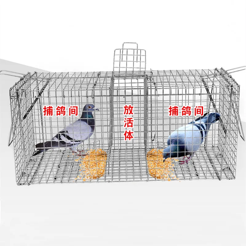 Double Door Humane Live Animal Trap Foldable Catch Cage for Beavers Bobcats Cats Foxes Groundhogs Nutria Opossums Raccoon Pigeon