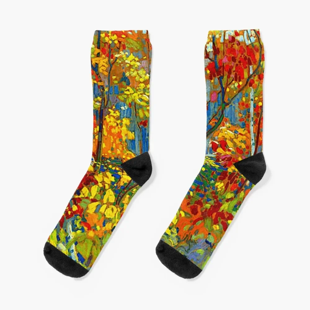 THE POOL : Vintage 1919 Tom Thomson Algonquin Park Art Print Socks Heating sock floral Christmas Boy Socks Women's