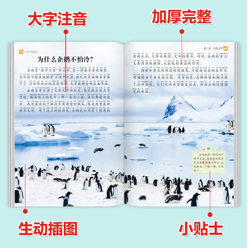 百万人のなぜ、中国児童百科事典、音声版、1～3年生向け課外読書