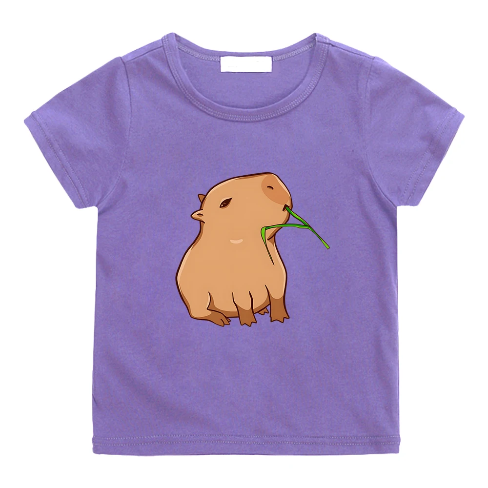 Capybara Aesthetic Manga T-shirts Cute Cartoon Comic Tshirt Fashion 100% Cotton Anime Tee-shirt High Street Boys/girls T Shirt