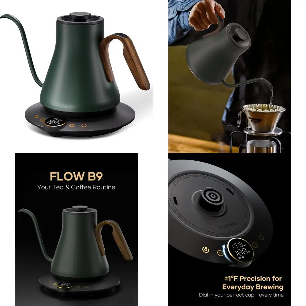 

Gooseneck Electric Kettle with Precise Temperature Control for Brewing, Stainless Steel, 1500W, 0.9L Capacity, Delacroix Green