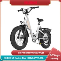 EKXBIKE L1 Electric Bike 1000W 48V 15.6Ah Battery 20 \