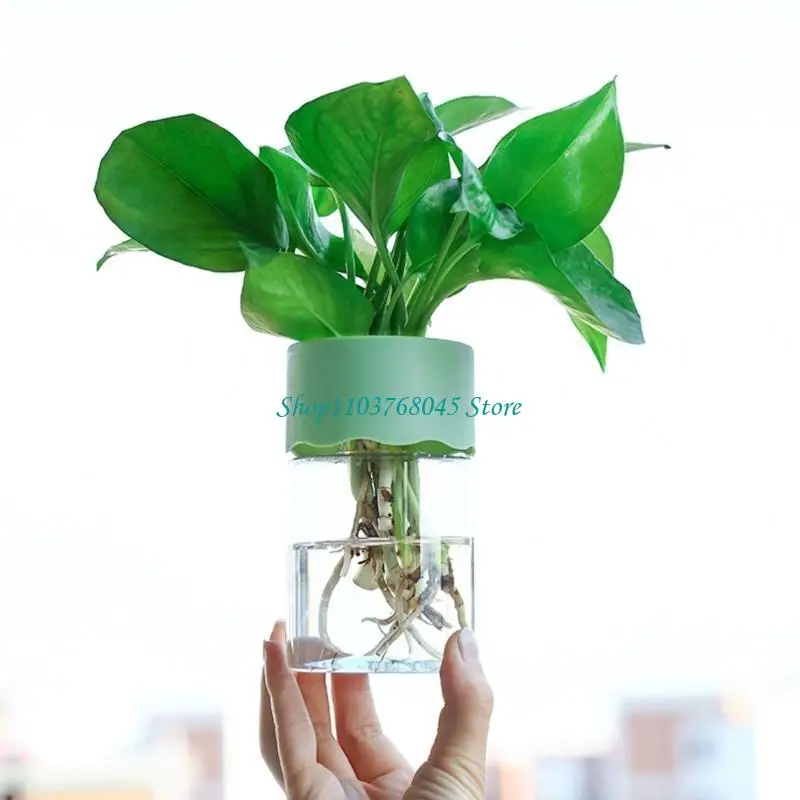 R53F Indoor Hydroponic Planter Soilless Plant Pots for Easy Observation Plant Growth