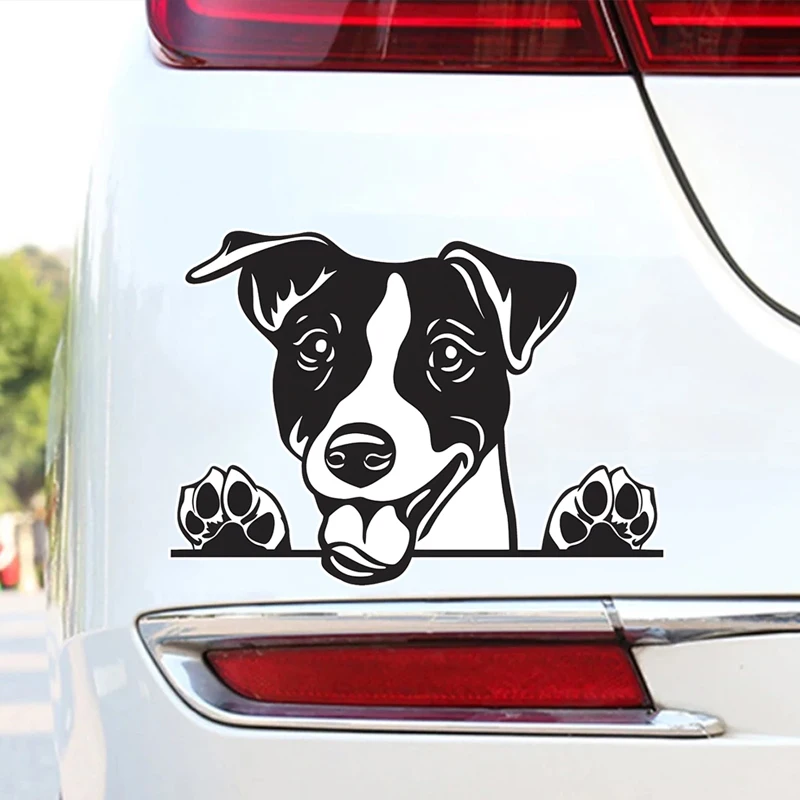 DK174# 15x11cm Peeking Jack Russell Terrier Car Stickers Waterproof Vinyl Decal For Truck Motorcycle Scooter Auto Accessories