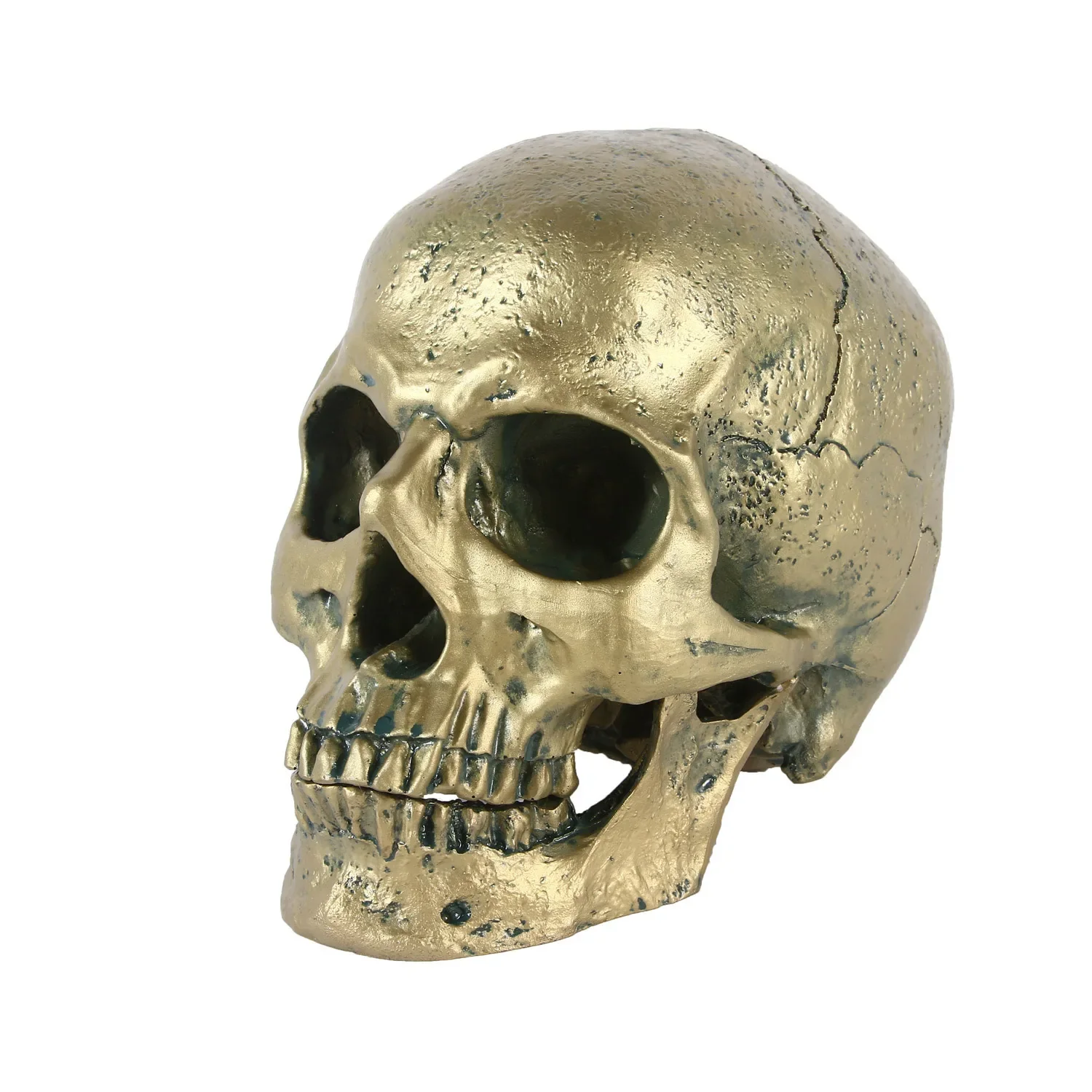 

Skull Replica Human Head Skull Model Resin Skull Decoration Statue Home Room Decoration Skull Sculpture Halloween Figurine