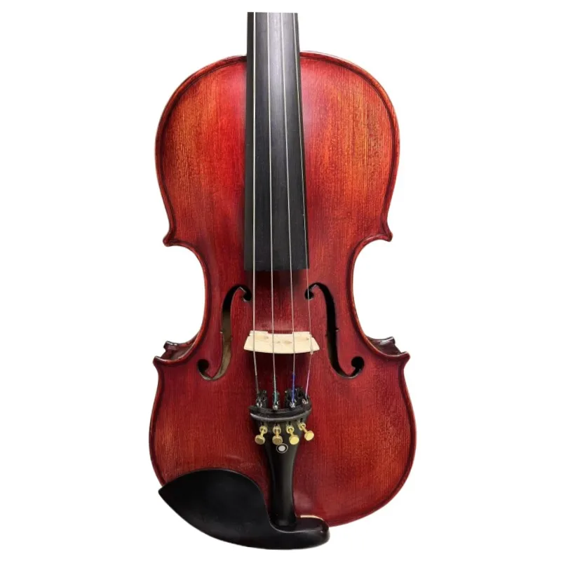 Profession Strad model SONG Brand Maestro bird's eye 15