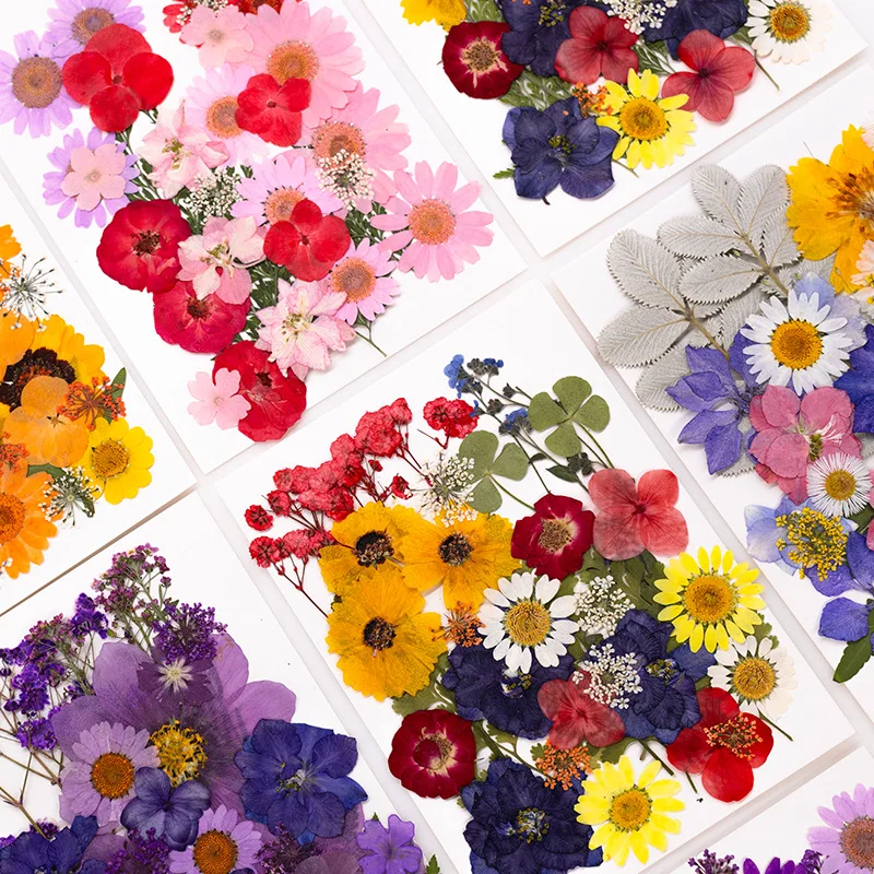 Neue gemischte getrocknete gepresste Blumen für DIY Harz Schmuck Formenbau natürliche echte getrocknete Blumen Blätter Kerze Kunst Dekoration