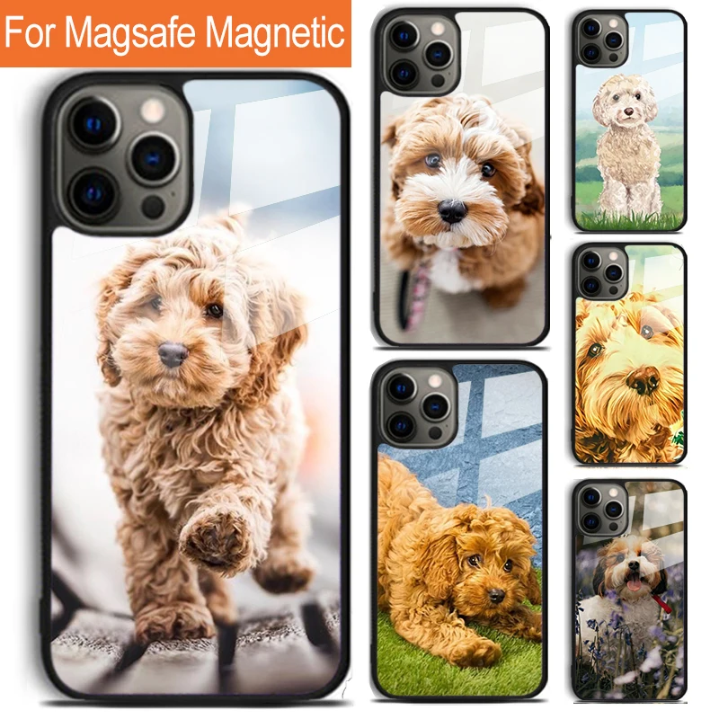 Cute Cockapoo Dog Phone Case For iPhone 16 15 14 13 12 11 Pro Max Plus Magsafe Magnetic Wireless Charging Cover