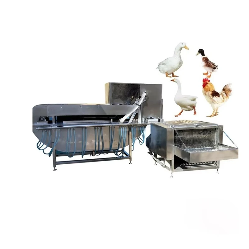 Automatic Abattoir Equipment Halal Poultry Chicken Slaughtering Processing Scalding Plucking Machine Price for Sale