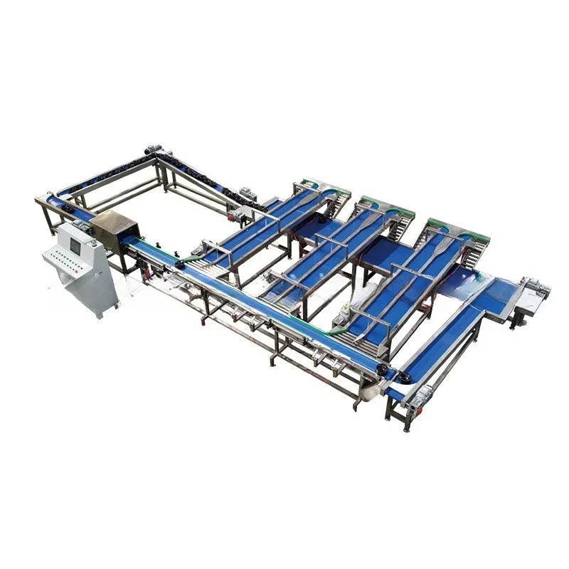 Machine de tri de fruits, pesage de pêches, machine de tri