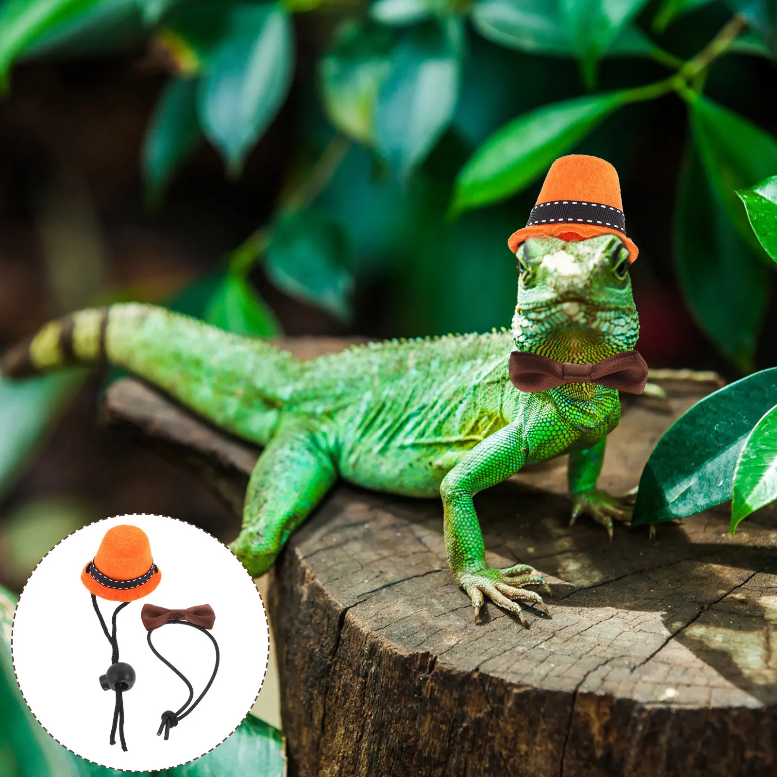 

Reptile Hat Bow Tie Lizard Wacky Costume Accessory Mini Size Lightweight Easy on Off Perfect Festival Dress Up Pet Reptile