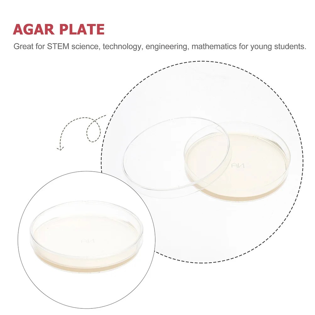 Placas de Agar prevertidas, suministros para experimentos de ciencia, 10 piezas