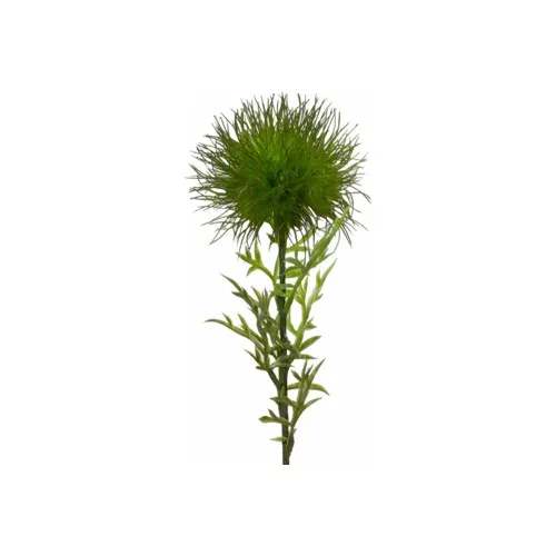 Tmall Home Design Green Globe Thistle Artificial Flower 65 cm