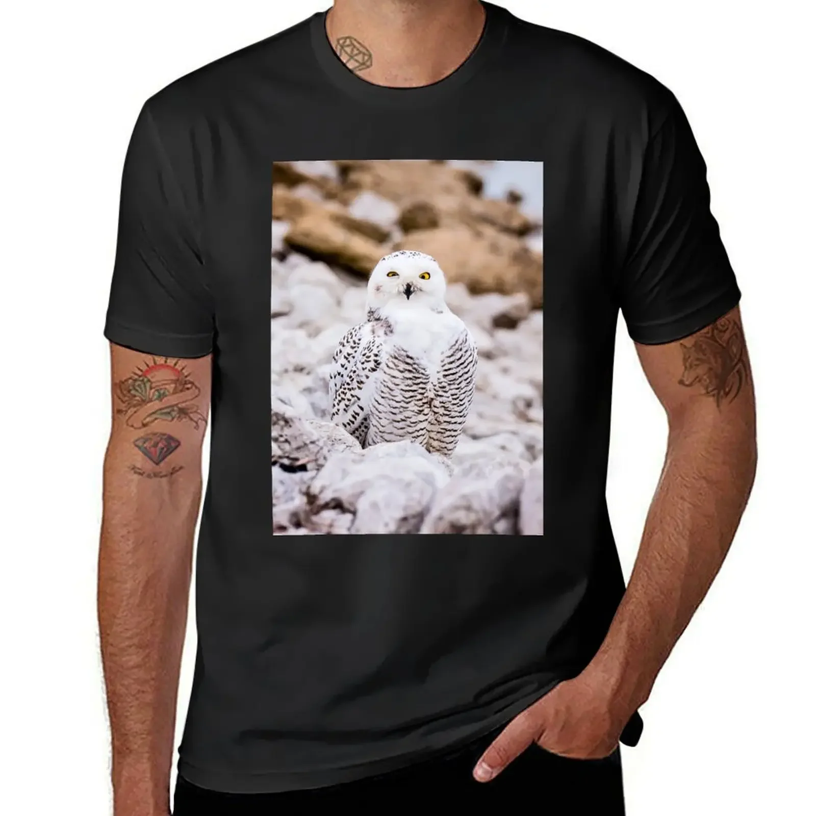 

Snowy Owl T-Shirt boys whites plus size tops custom shirt kawaii clothes Men's cotton t-shirt