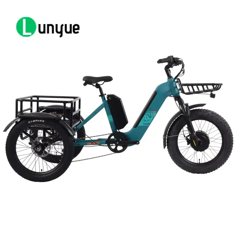 20 Inch 500W Motor Dual Battery Electric Tricycle 7 Speed Hydraulic Disc Brake 3 Wheel E Trike for Adult Commuting Cargo