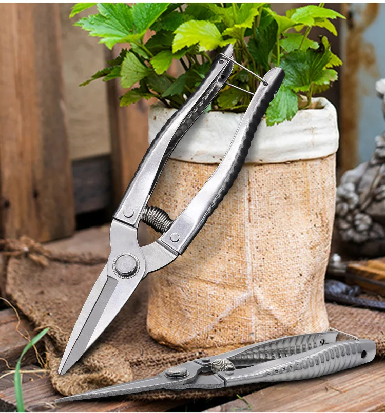 Straight Head All Stainless Steel Blade Household Pruning Shears Powerful Fruit Garden Scissors with Automatic Return Spring
