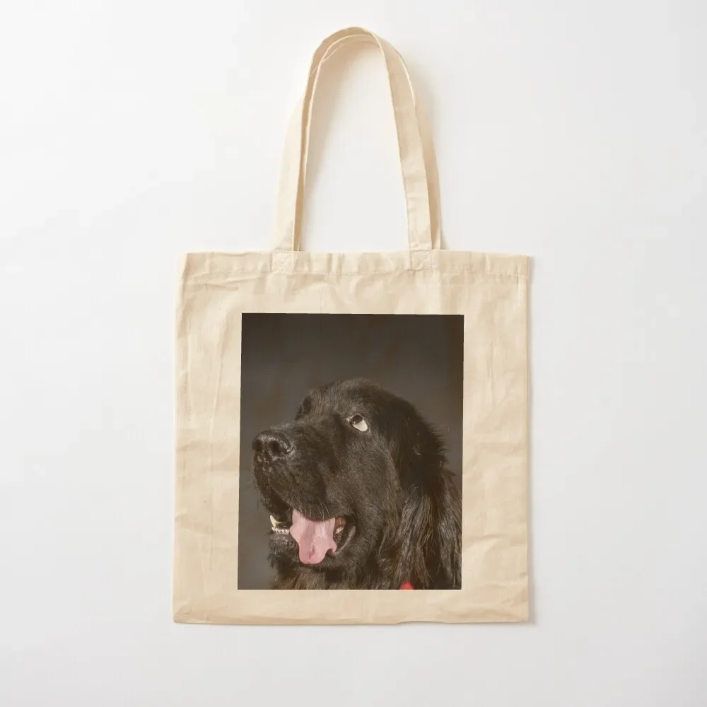 

Portrait of big black water-dog, studio shooting, isolated on dark background Tote Bag canvas shopping bag Women's bag