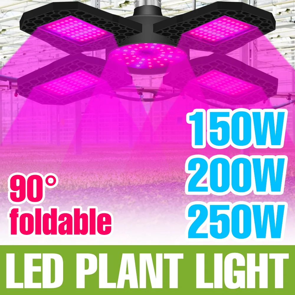 

Светодиодные фитолампы для выращивания растений в помещении, 250 Вт, полный спектр, 220 В/110 В, для теплиц, гроубоксов, гидропоники, выращивания зеленых овощей