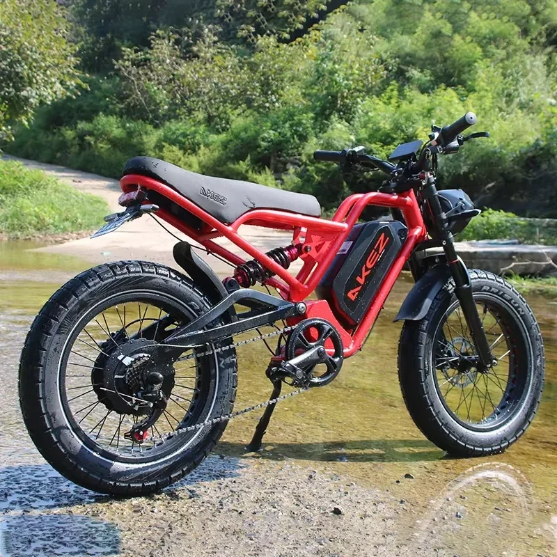 20 Inch 1500W52V25AH Suspension Electric Fat Tire Bike Adult Off-Road Electric Bike for Mountain Sports and Dirt Trails