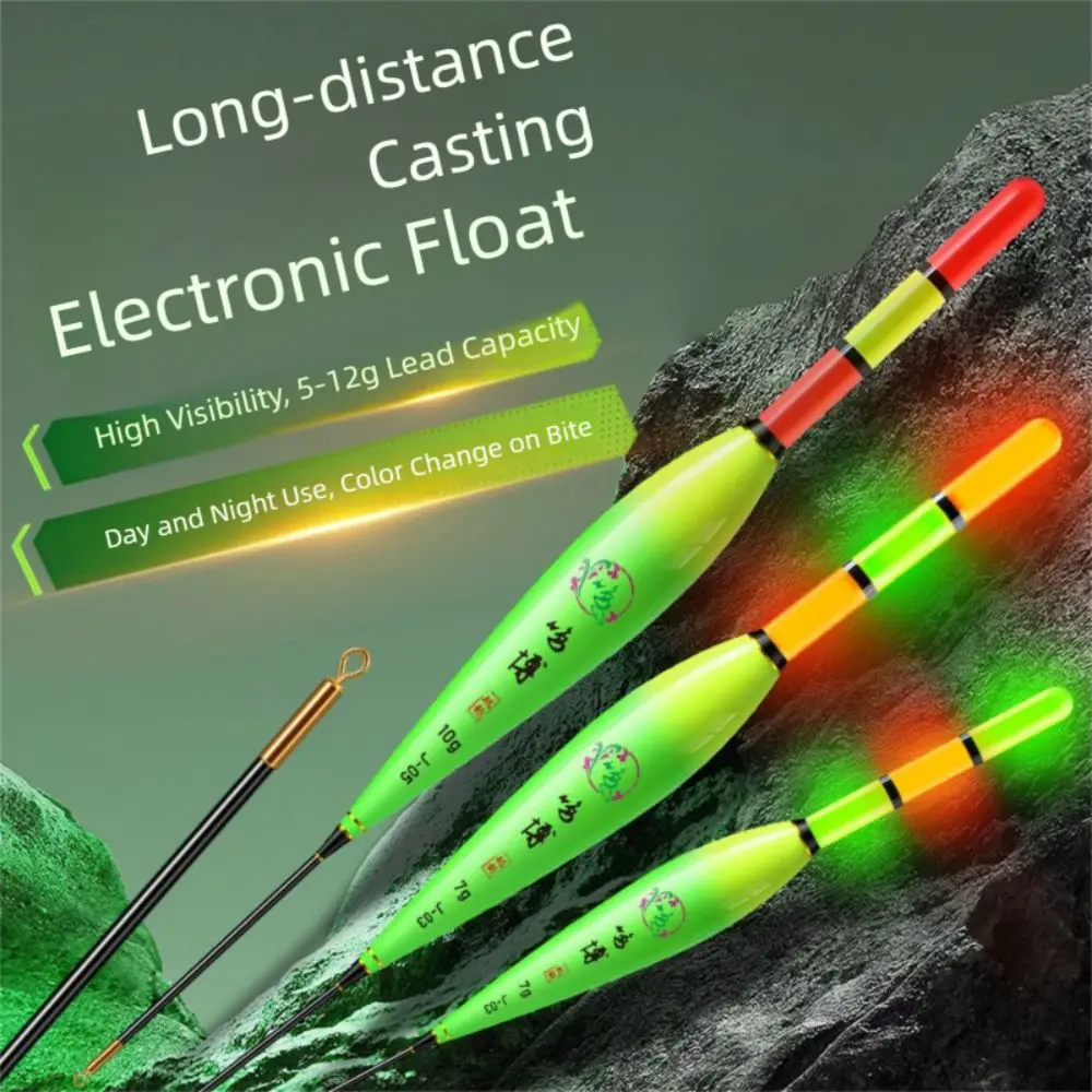 Flotteur de pêche électronique lumineux à 2 lumières, flotteur à longue queue, flotteur tubulaire coulissant, flotteurs de pêche à la roche, pêche de nuit