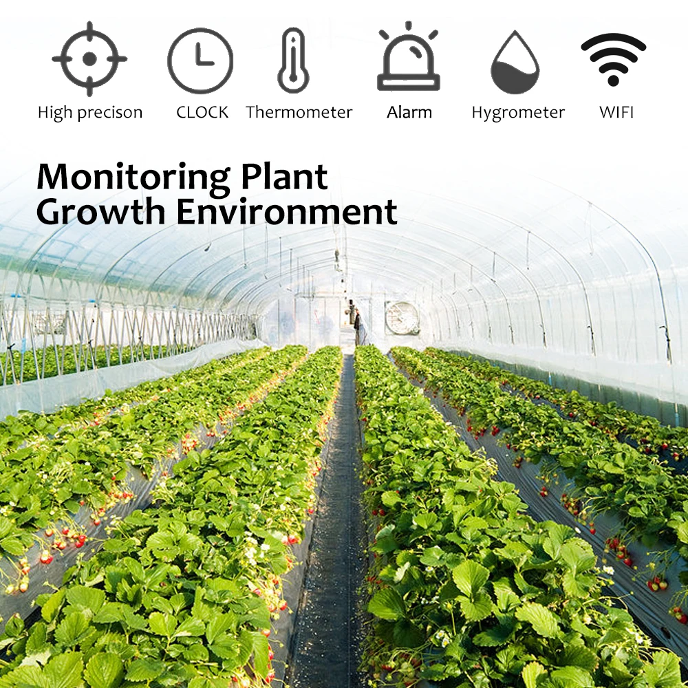 ZX-T11 New Doodle Smart WiFi Temperature, Humidity and Carbon Monoxide Three-in-One Smart Temperature and Humidity Alarm