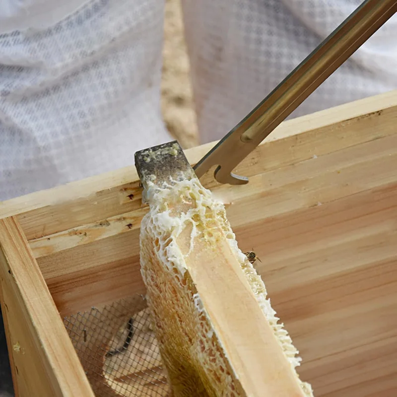 raspador-de-colmeia-de-abelha-390mm-extra-longo-limpeza-de-colmeia-ferramenta-plana-levantador-de-quadro-faca-de-raspagem-suprimentos-de-apicultura