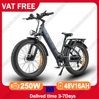 ENGWE Electric Bicycle 250W Motor 48V16AH Lithium Battery Family Travel E-bike 26*4 Inch Fat Tire Snow All-terrain Electric Bike