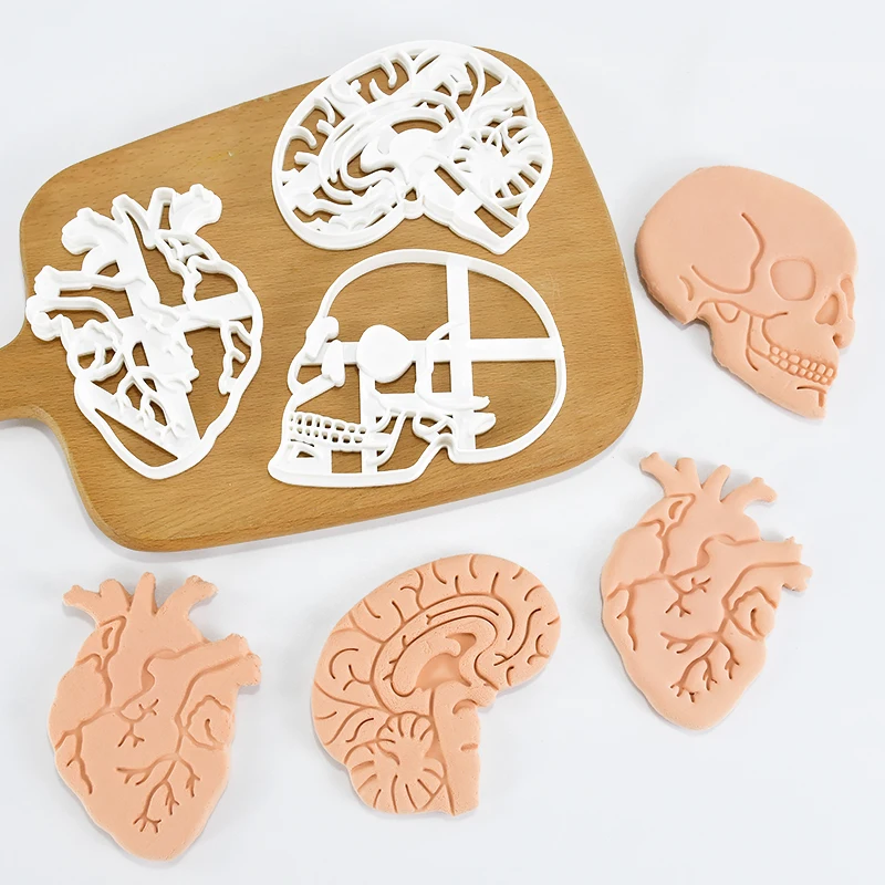 

1/3Pcs Human Body Organ Cookie Cutter Heart Brain Shape Fondant Icing Biscuit Mold DIY Dough Cookie Baking Pastry Embosser Tools