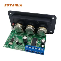 SOTAMIA Bluetooth Subwoofer Amplifier Audio Board 30W Mono Power Amplifier Remote Control U Disk Sound Speaker Amplificador