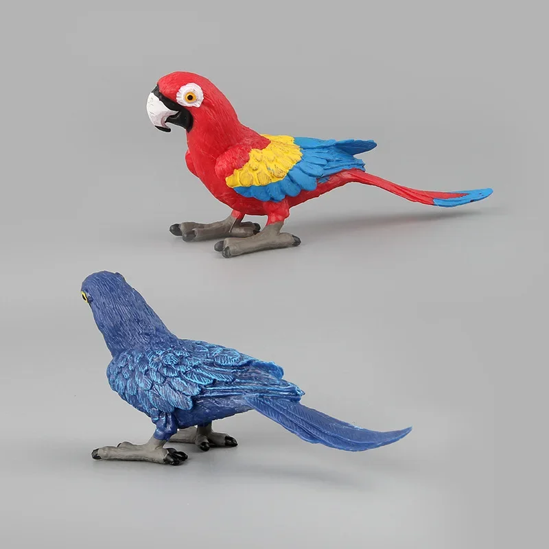 Simulated animal model toy bird macaw doll ornament plastic animal toy sand table model