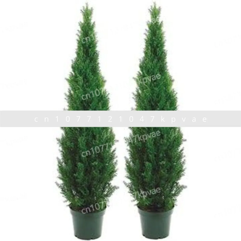 Two Potted Plants,Two Peaceful Buildings,Decoration,Festival Parties,Two Outdoor Artificial Snow Pine Trees That Are 5 Feet Long