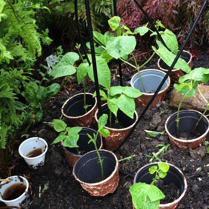 Copper Foil Tape 27Yards X 2 Inch For EMI Shielding Conductive Adhesive For Electrical Repairs,Snail Barrier Tape Guitar