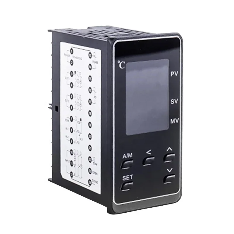 Max 50 Segments LCD Display Ramp And Soak  PID Temperature Temperature Controller Programmable