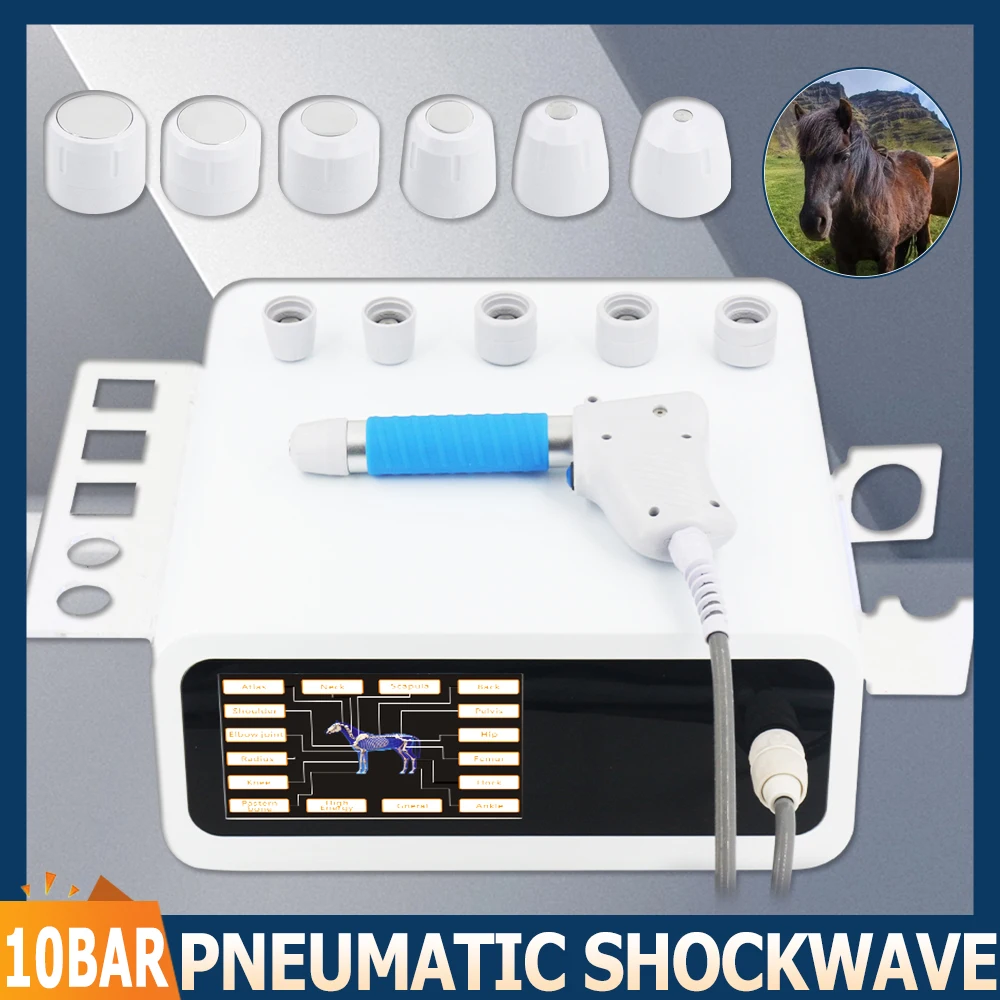

Пневматический аппарат для ударно-волновой терапии, 10 бар для лошадей, животных, облегчение боли, массаж мышц, релаксация, профессиональный массажер, новинка 2023 года