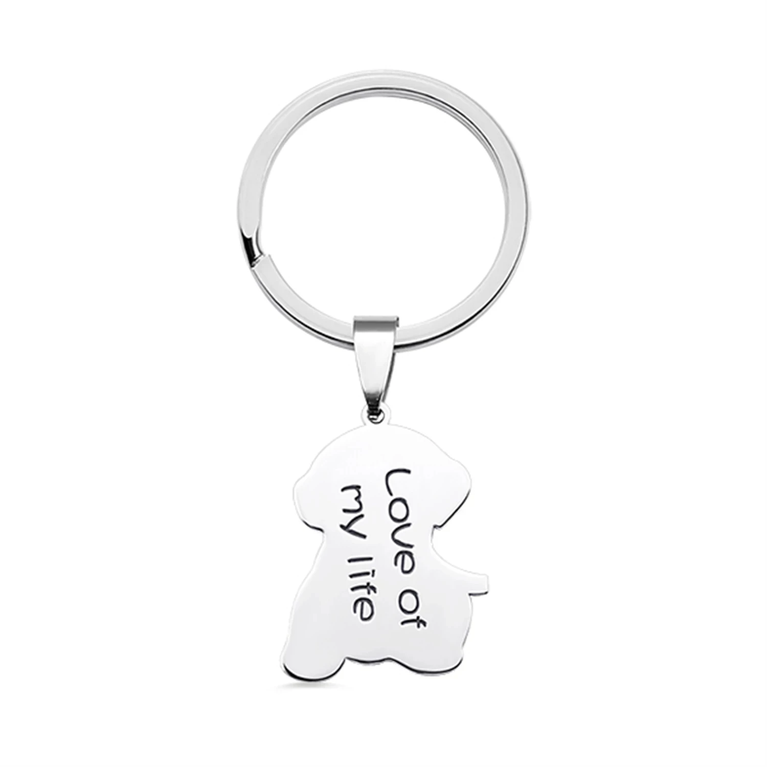 Dascusto Customized Pet Photo Keychain Stainless Steel Dog Tag Key Chain For Memorial Best Gift Personalized Pet Animal Keyring