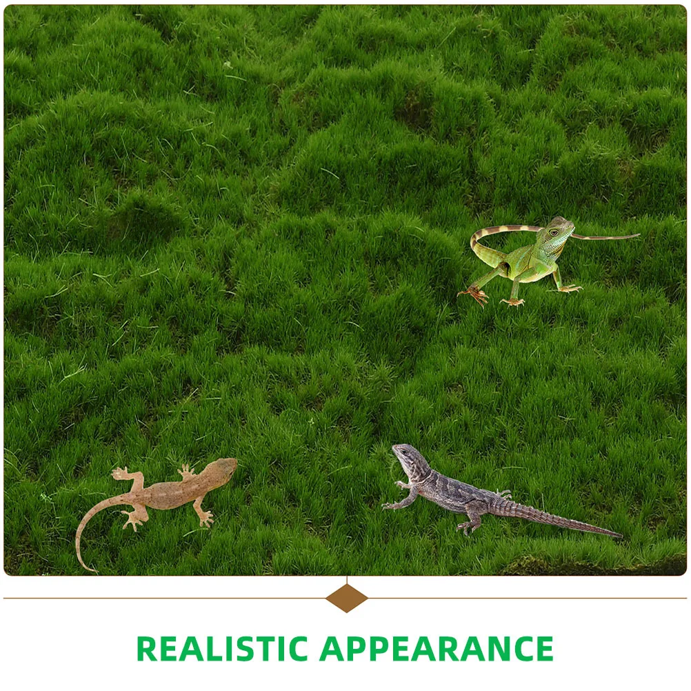 قطعتان من وسادة الطحلب الاصطناعية العشب الأخضر النابض بالحياة لفناء الحديقة سهلة التركيب وخفيفة الوزن ومحمولة وآمنة ومريحة للديكور #3