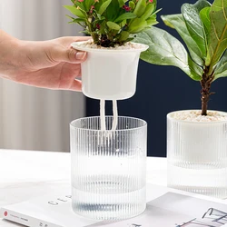 Transparent Automatic Water Absorption Flower Pot Reusable Self-watering Hydroponic Planter Lazy Green Small Plant Pots Desktop