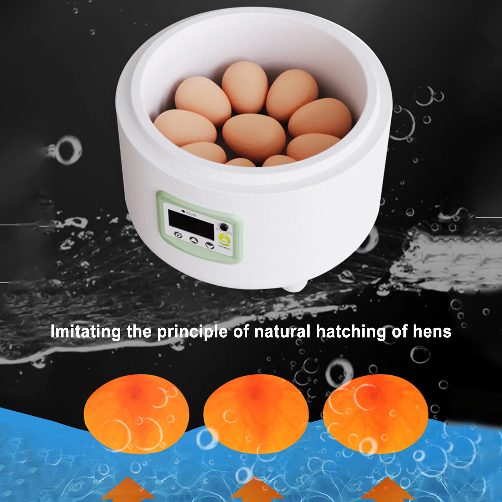 Egg Incubator 9 Eggs Automatic Incubator Hatchery Machine Temperature Control Water Bed Chicken Duck Bird Brooder Farm