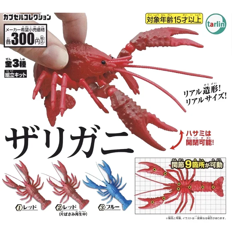 TARLIN Kawaii Cute Original Japan Gashapon Figure Anime Aquatic Animals Joints Movable Crayfish Figurine Capsule Toy