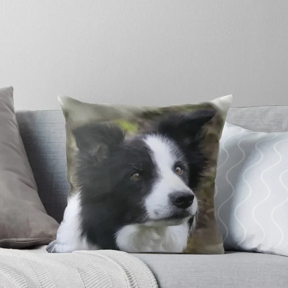 Border Collie Lover s Gifts Throw Throw Pillow autumn decoration Decorative Sofa Cushion Sitting Cushion pillow