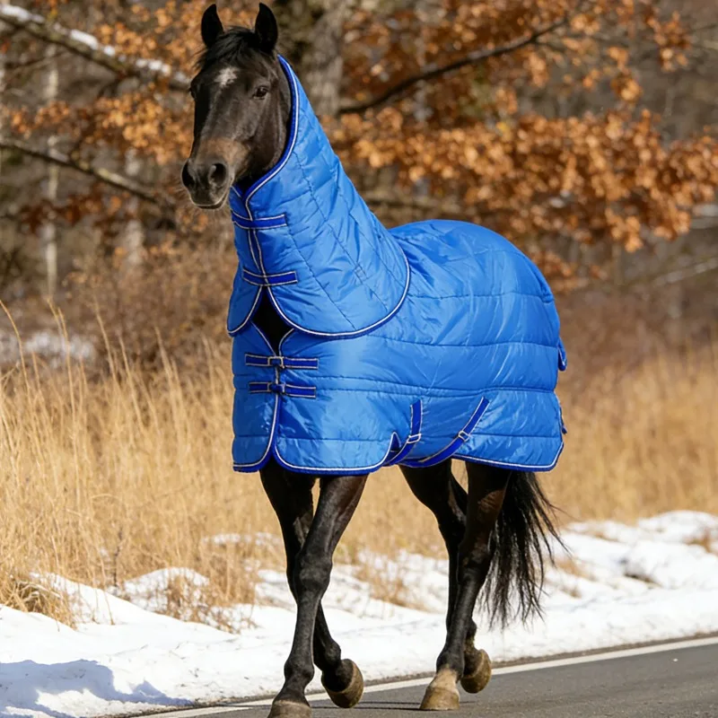 2-Piece Set of Blue Nylon Waterproof, Breathable, and Warm Riding Jackets with Hoods