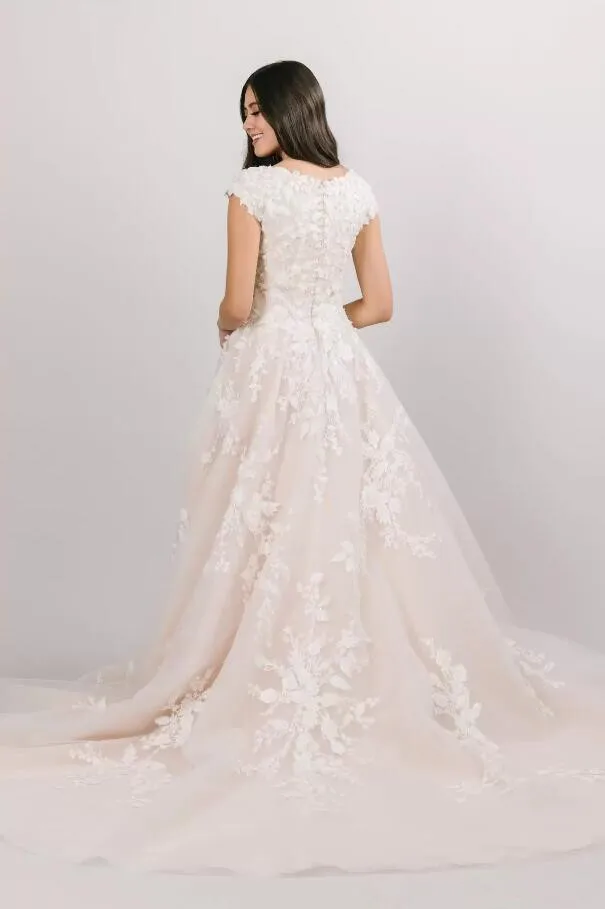 فساتين زفاف دانتيل تول على شكل حرف a بأكمام قصيرة وأزرار خلفية عاجية ووردي أحمر الخدود كلاسيكي متواضع زي العرائس كم قصير