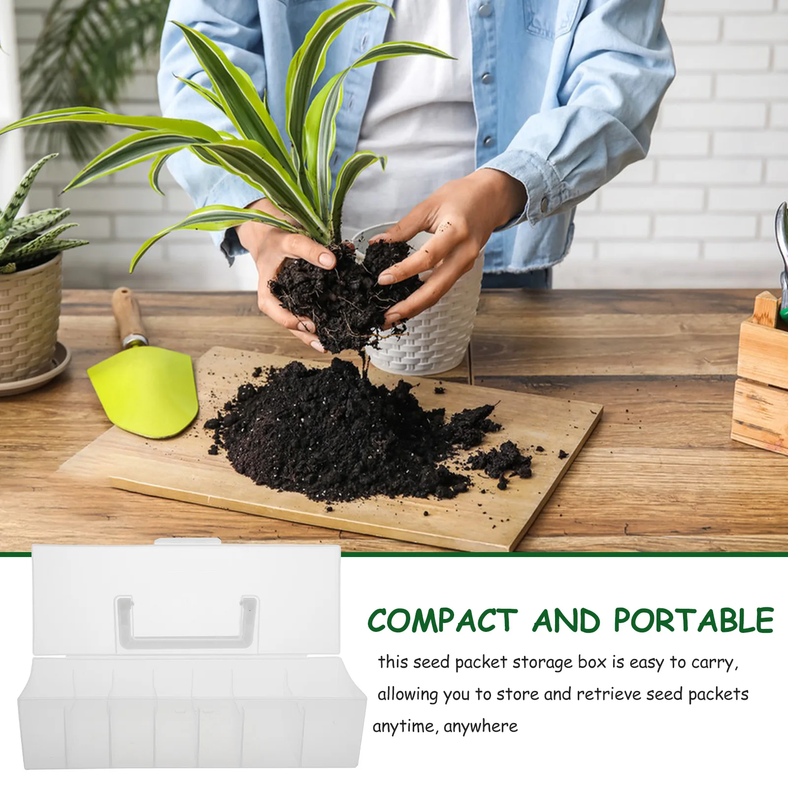 

Transparent Seed Storage Box Organizer Multiple Compartments Portable Seeds Packet Container Gardening