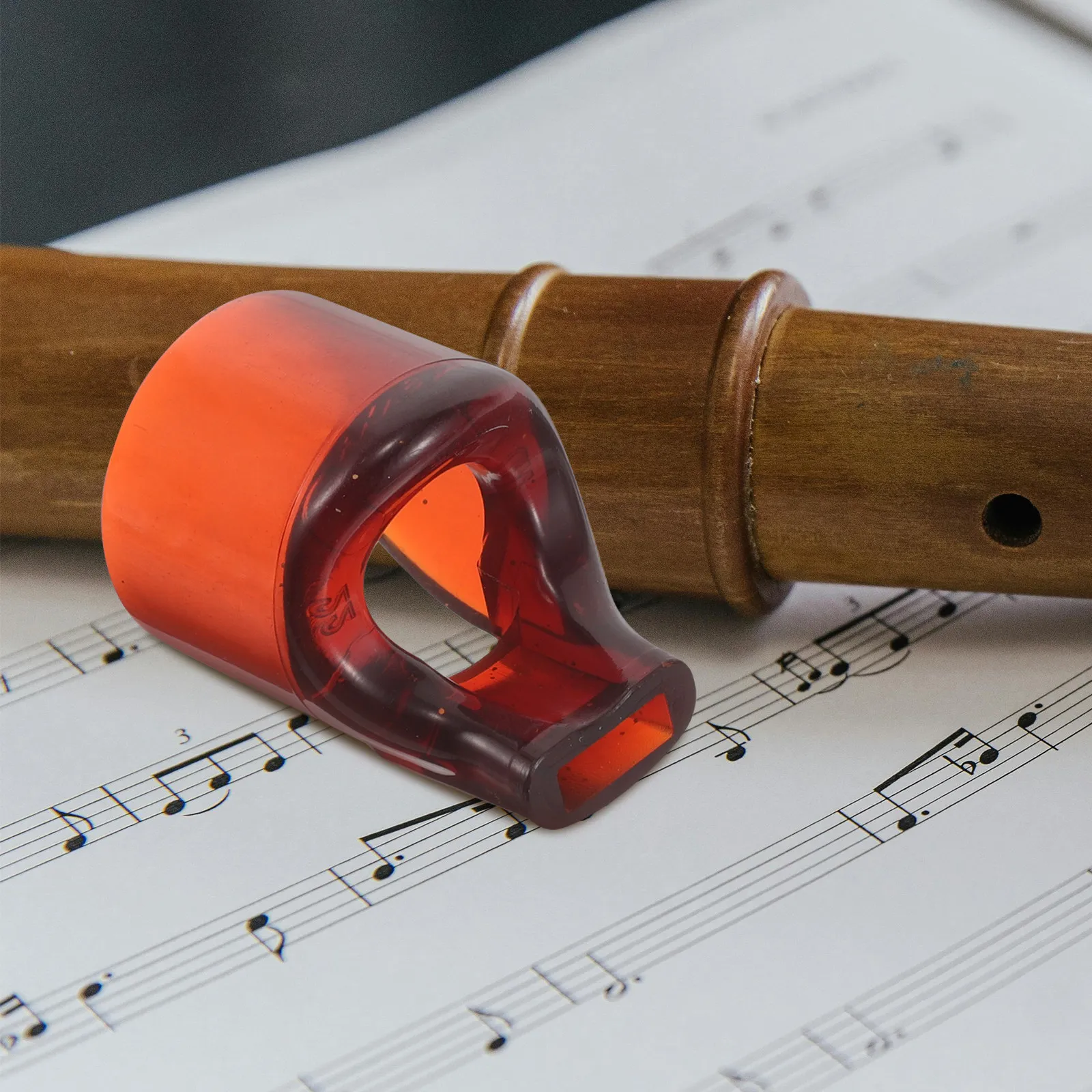 2Pcs Flute Mouthpiece Blow Aid - Musical Instrument Blow 评论和价格