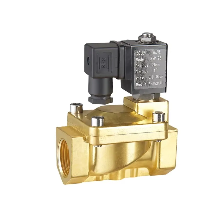 

Brass Solenoid Valve From 1/8'-2' AC24V 12V 6V Bistable Latching