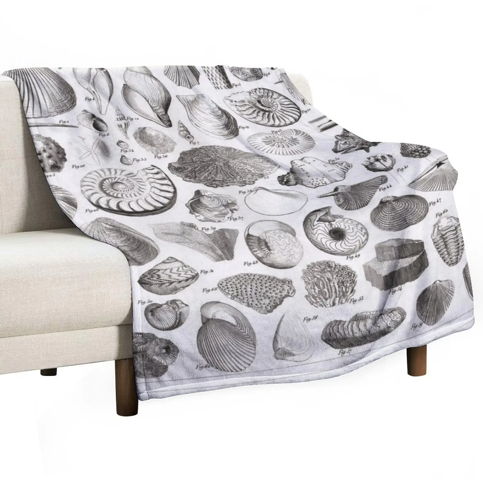 1857 Diagram Paleontology: Fossils Throw Blanket Flannel Baby heavy to sleep Flannel Fabric Summer Beddings Designers Blankets