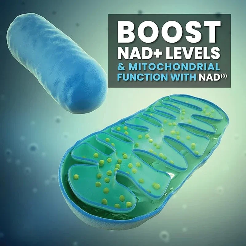 NAD+ Supplement - Liposomal Nicotinamide Riboside Capsules with Resveratrol & Quercetin for Anti-Aging,Cell and Skin Health